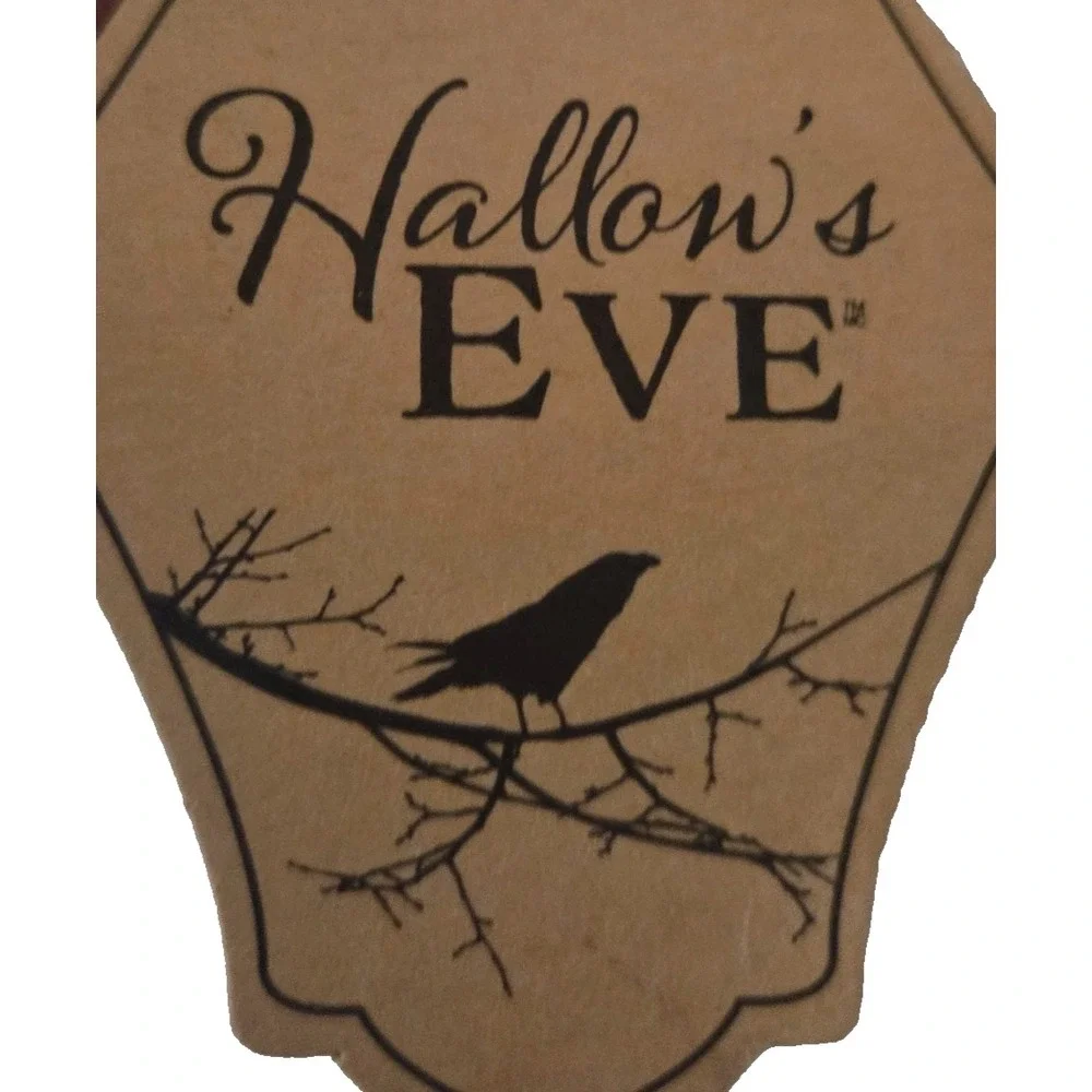 Hallow's Eve Raven Gentleman LED Light Up Eyes Halloween Figurine 20 Inch